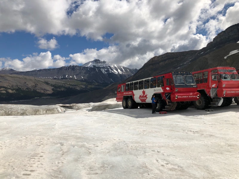 Icefield